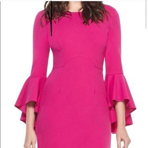 Maggy London size 4 fuchsia dress w/ruffle sleeves